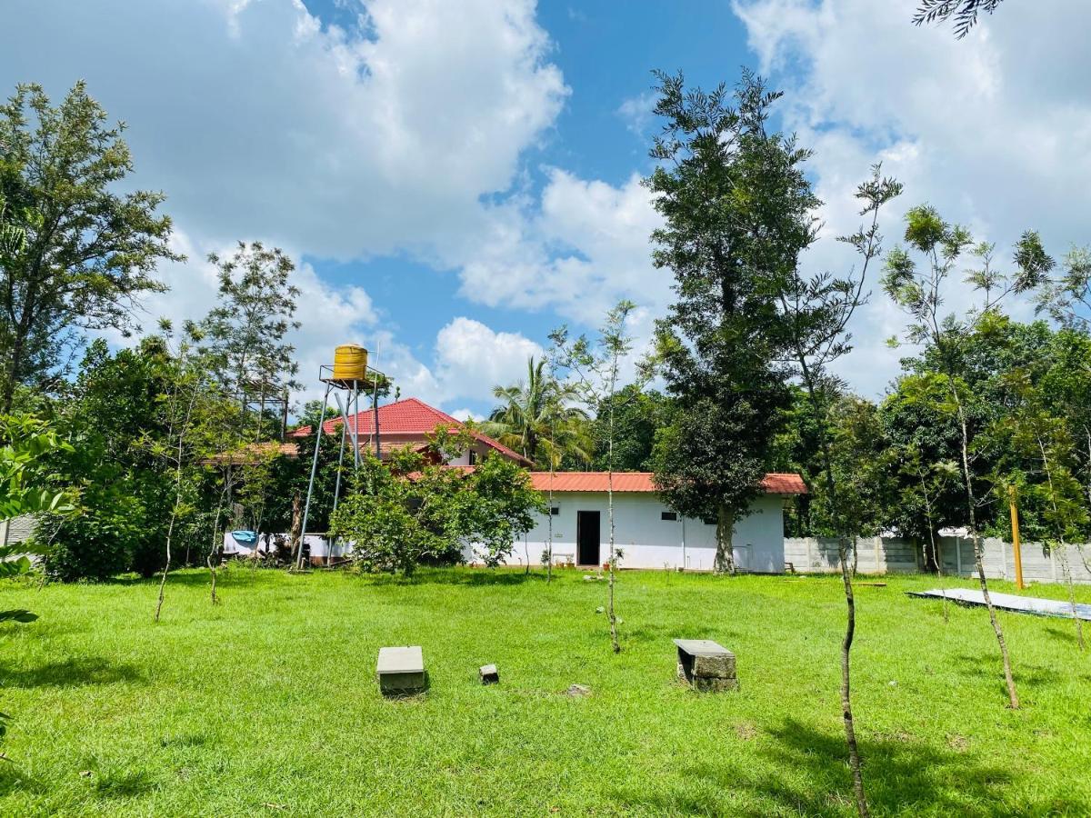 Greenhouse Homestay Siddāpur Eksteriør bilde